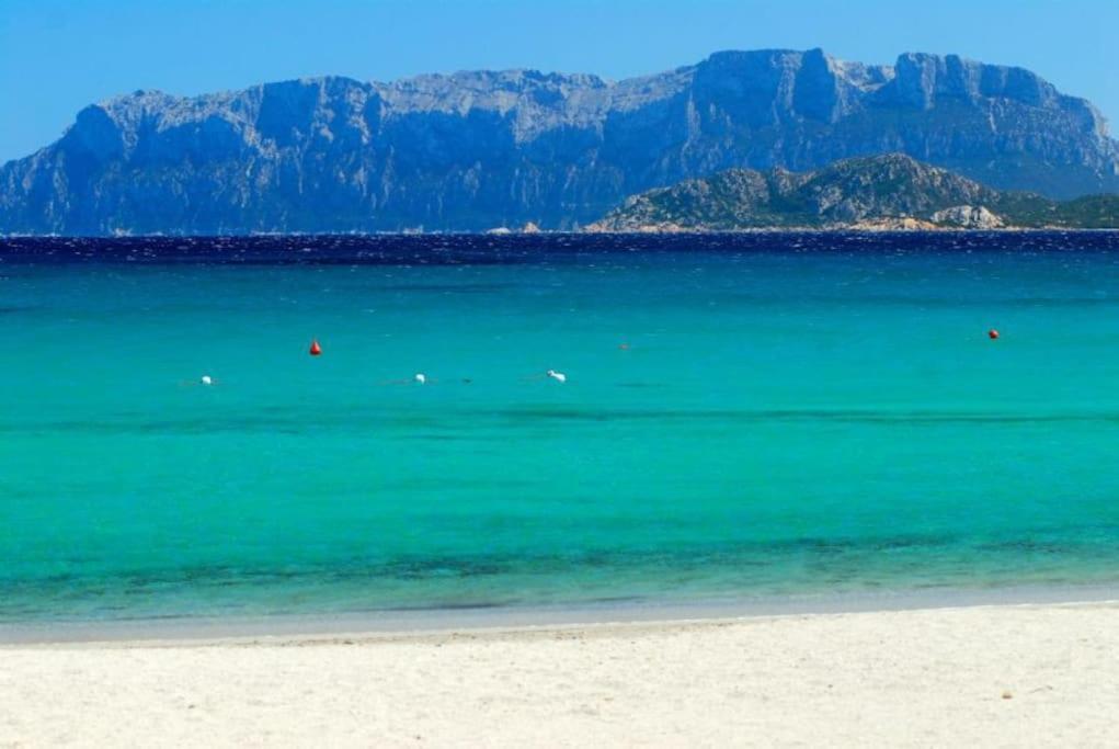Sardegna Casa A 250 Metri Dal Mare Con Piscina Leilighet Olbia Eksteriør bilde